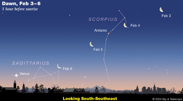The sky: February 4-11; Subtle sights in the mid-winter nights