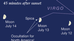 The sky, July 8-14: First quarter Moon occults Spica