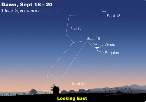 The sky, Sept. 14-21: Andromeda galaxy, M31, high in the East The sky, Sept. 14-21: Andromeda galaxy, M31, high in the East