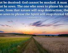 ‘A man reaps what he sows’