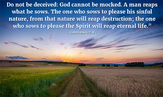 ‘A man reaps what he sows’