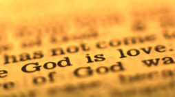 Dec. 12: ‘Perfect love drives out fear, because fear has to do with punishment’