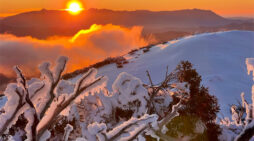 The sky, Dec. 21-26: Winter solstice