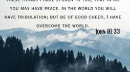 ‘I have told you these things, so that in me you may have peace’