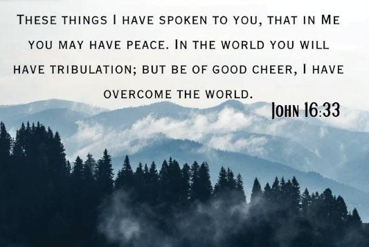 ‘I have told you these things, so that in me you may have peace’