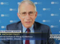 Fauci misled nation, world on Covid vaccine to enhance messaging impact