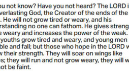 March 31: ‘Those who hope in the Lord will renew their strength;  They will soar on wings like eagles’
