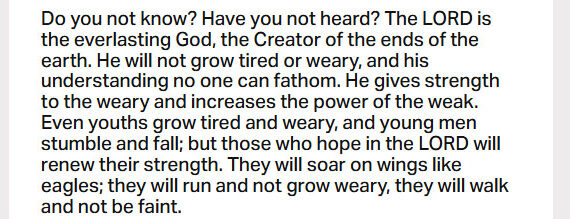 March 31: ‘Those who hope in the Lord will renew their strength;  They will soar on wings like eagles’