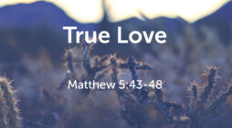 April 6: ‘Love your enemies and pray for those who persecute you’