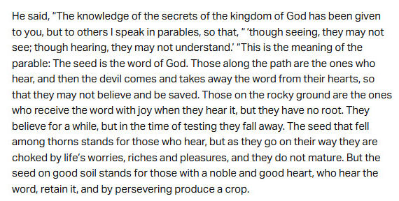 August 17: ‘They are choked by life’s worries, riches and pleasures, and they do not mature’ August 17: ‘They are choked by life’s worries, riches and pleasures, and they do not mature’