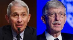 Fauci and Collins were warned by FDA official to research vaccine side effects Fauci and Collins were warned by FDA official to research vaccine side effects