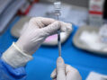 Curious about the implications of 81 percent of Americans getting Covid jab?