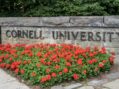 Was Jane Doe complying with Cornell health policy on sexual debauchery?