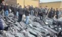 Inside Iran: Cell phone videos documented horror in the streets on January 8-9, 2026